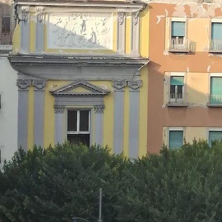 Toledo Comfort In